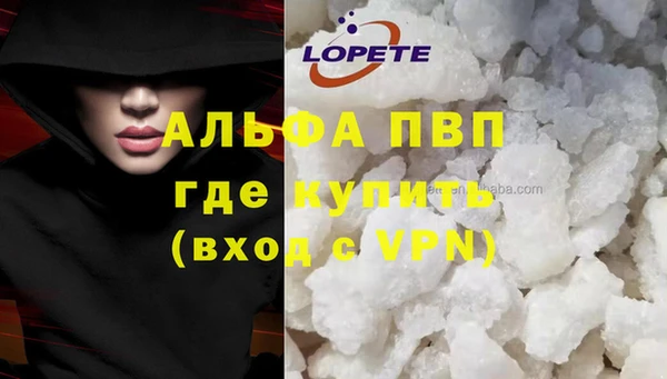 ГАЛЛЮЦИНОГЕННЫЕ ГРИБЫ Нея