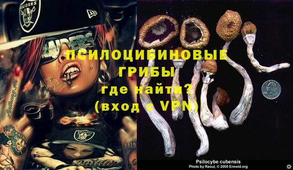 дживик Нефтегорск
