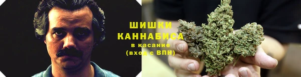 дживик Нефтегорск