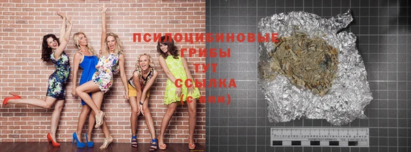 тгк Новодвинск