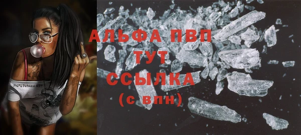 тгк Новодвинск