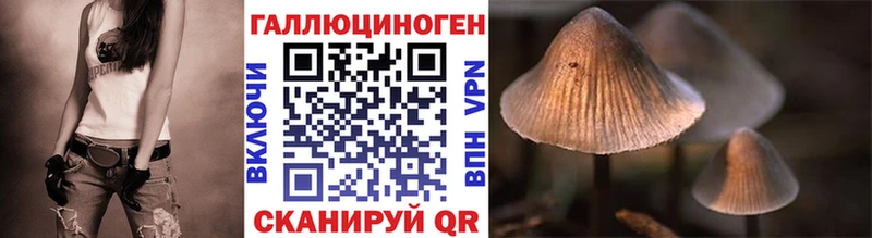 Купить Сокол Псилоцибиновые грибы Magic Shrooms